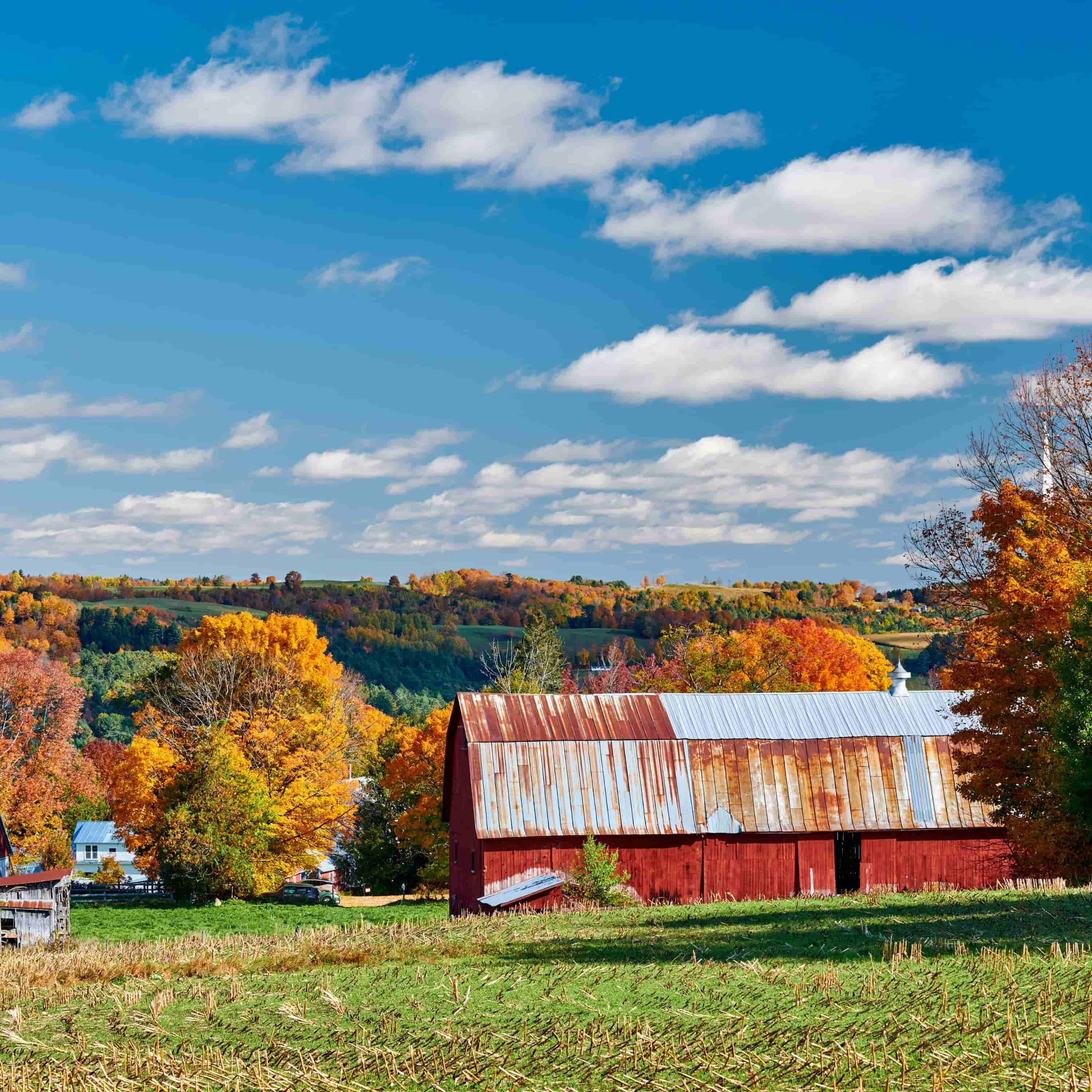 A View From the Tractor Seat